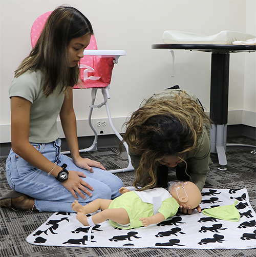 CCE CPR